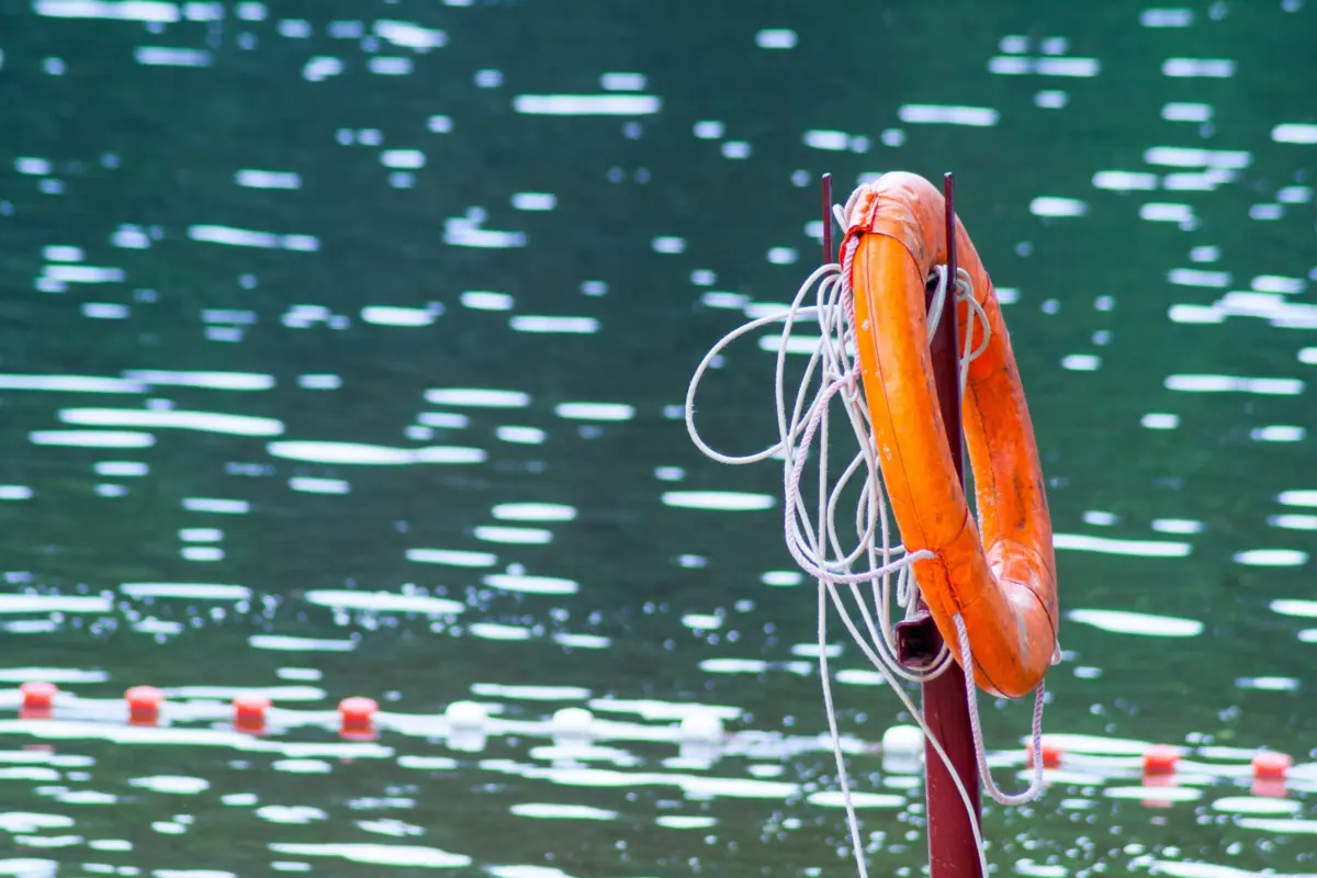 Фото: Pixabay